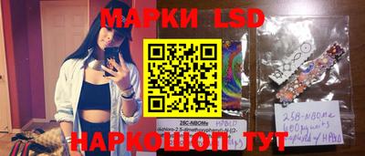 стафф Краснодар